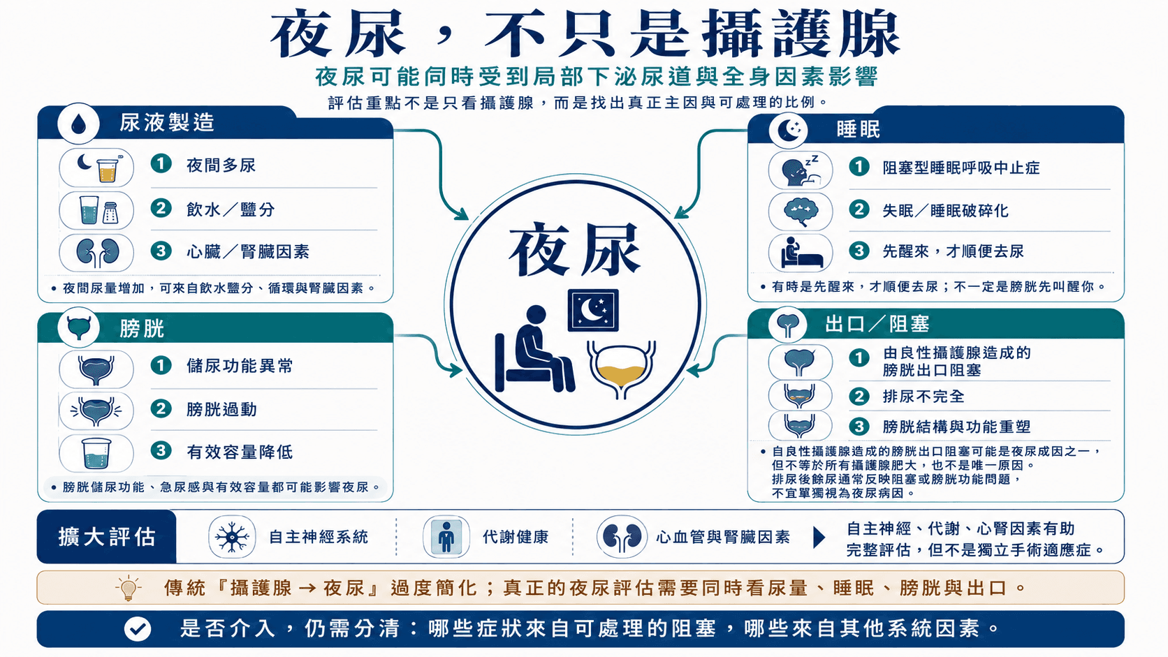 夜尿多因素圖,分為尿液製造、睡眠、膀胱儲尿與出口阻塞,並納入自主神經、代謝及心腎因素。